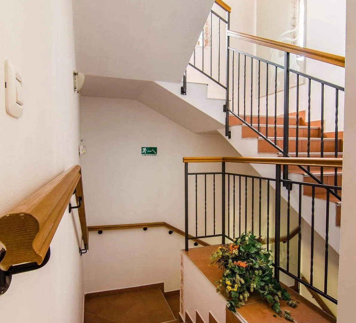 Villa Calussovo Ripenda Kras